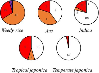 Weedy Rice as a Novel Gene Resource: A Genome-Wide Association Study of Anthocyanin Biosynthesis and an Evaluation of Nutritional Quality